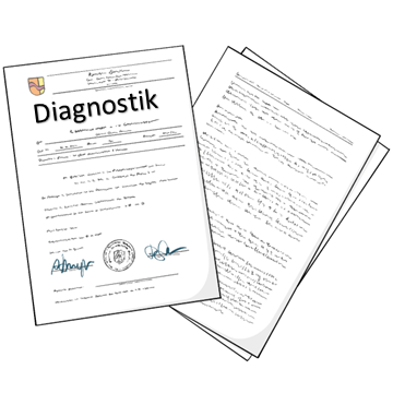 Diagnostik und externe Gutachten